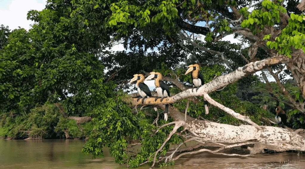 Sora OpenAI: The AI Model That Generates Mind-Blowing Videos From Text